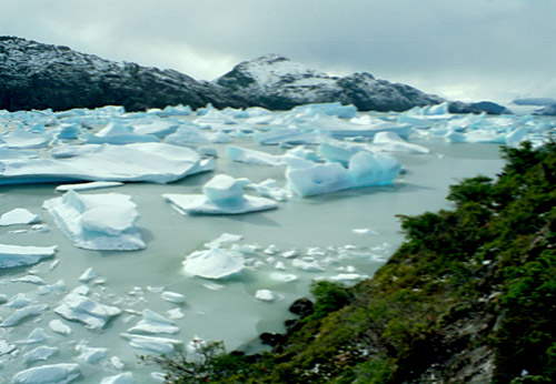 The Iceberg Field